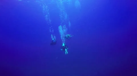 Underwater shot of group scuba divers swimming in a blue clear water. Video stock 66435964