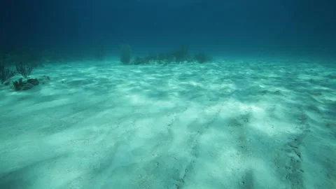 Underwater shot of light falling on a sandy ocean bottom 스톡 동영상 170384815