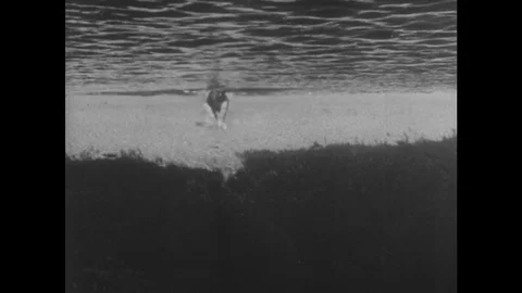 Underwater shot of man swimming toward camera. Stock Footage