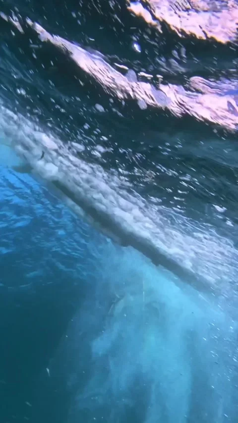 Underwater shot of ocean wave.slow motion.Vertical video Stock Footage 296203859