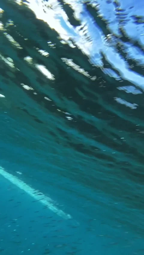 Underwater shot of ocean wave.slow motion.Vertical video Stock Footage 296203893