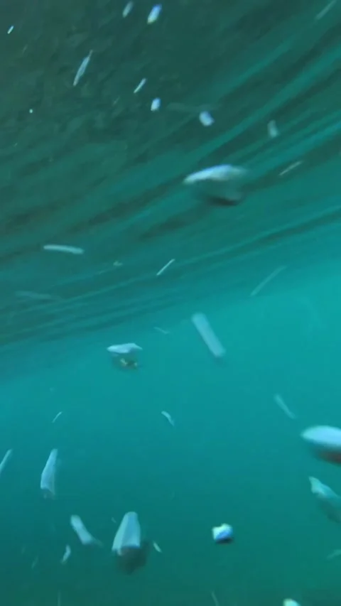 Underwater shot of ocean wave.slow motion.Vertical video Stock Footage 296203920