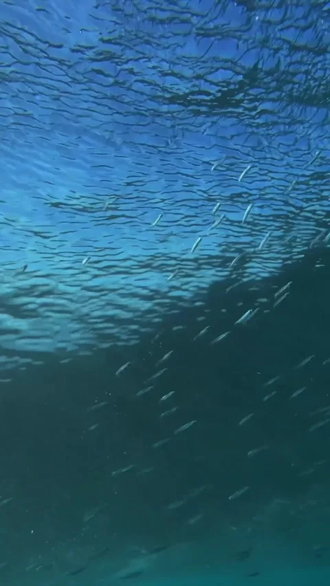 Underwater shot of ocean wave.slow motion.Vertical video Stock Footage 296203940