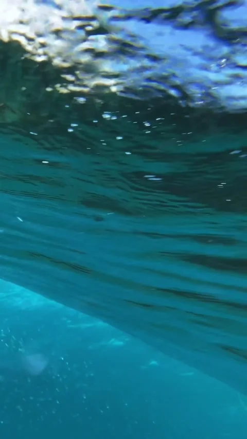 Underwater shot of ocean wave.slow motion.Vertical video Stock Footage 296203963