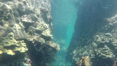 Underwater shot, Passage between Rocks covered with Corals, Perhentian, Malaysia Stock Footage 201015387