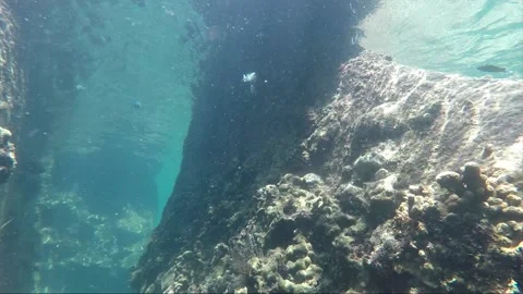 Underwater shot, Passage between Rocks covered with Corals, Perhentian, Malaysia Stock Footage 201110612