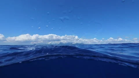 Underwater shot: Plastic bag floating near water surface in blue sea Video stock 145558686