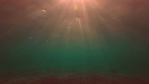 Underwater shot, rays of the setting sun penetrate the surface of the water  Video stock 230458623