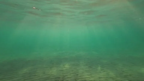 Underwater shot, rays of the setting sun penetrate the surface of the water and Vídeos de archivo 232771605