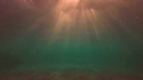 Underwater shot, Red rays of the setting sun penetrate the surface of the water. Stock Footage 232771546