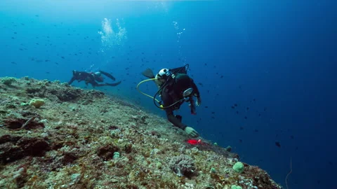 Underwater shot of SCUBA Divers in strong current, Peleliu, Palau Stock Footage 344060046