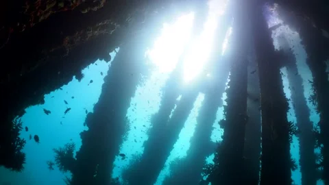 Underwater shot of sun bursting through pillars of peer Vidéo 164669079