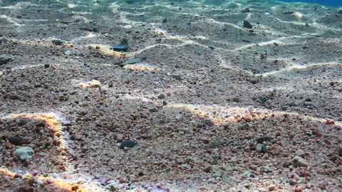 Underwater shot of sunlight reflection on the sandy sea bottom Stock Footage 82748246
