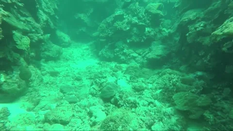 Underwater shot, Swim between Rocks, Coral Reef, Negros island, Philippines Video stock 336794261
