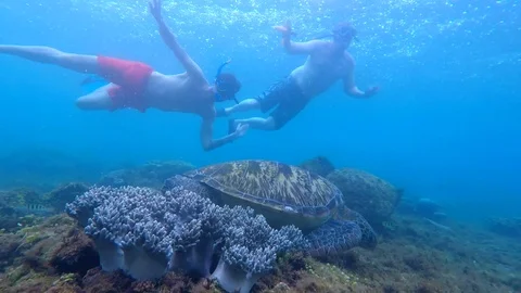 Underwater Men Swimming Swimming Stock Videos – Royalty-Free HD & 4K Videos