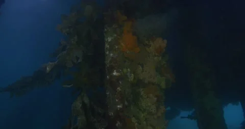 Underwater Shot Under The Pier In Shallow Water Vídeo Stock 335025277