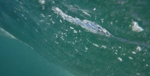 Underwater Shot Wave Breaking Stock Footage 71310664