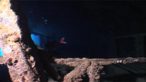 Underwater Shot Of Wreck Inside The Hold Stock Footage 285018925