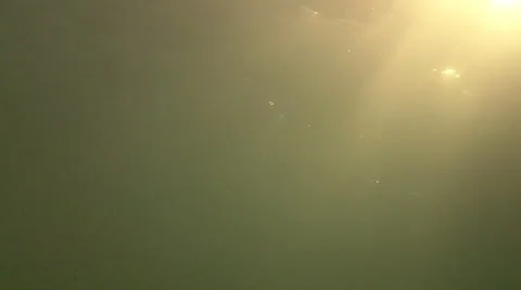 Underwater shots of sun 스톡 동영상 23943349
