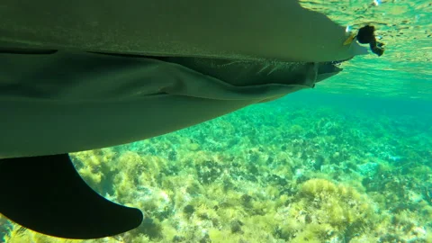 Underwater side view of kayak stern with rudder gliding over shallow seabed Stock Footage 333780137