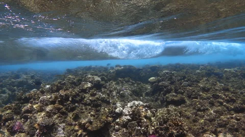 Underwater slow motion of sea waves breaking over coral reef. Video footage Video stock 302672050