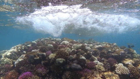 Underwater slow motion of sea waves breaking over coral reef. Video footage Stock Footage 302747309