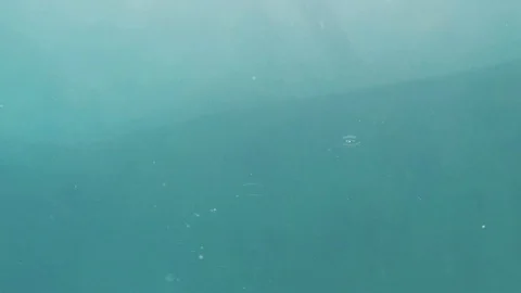 Underwater slow motion shoot: man jumping into the pool Stockbeeldmateriaal 88298039