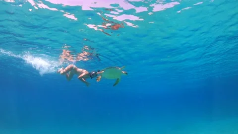 Underwater slow motion of turtle and woman swimming together Stock Footage 211177973