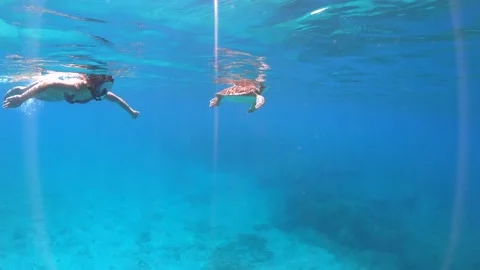Underwater slow motion of turtle and woman swimming together Stock Footage 211177994
