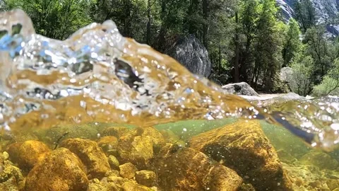 Underwater Slow Motion in Yosemite River Showing Clear Water Rocks and Nature Stock Footage 314798815
