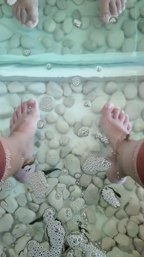 Underwater Spa Experience with Garra Rufa Fish Stock Footage 312749198