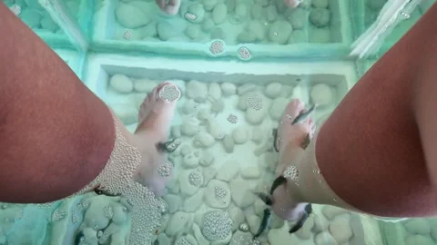 Underwater Spa Experience with Garra Rufa Fish Stock Footage 312750533