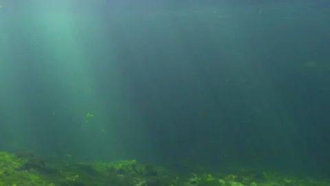 Underwater Spring floor 1 Stock Footage