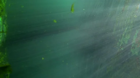 Underwater Spring sideways 1 Video stock 146866069