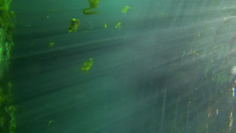 Underwater Spring sideways 2 Video stock 146866109