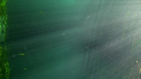 Underwater Spring sideways 3 Video stock 146866134