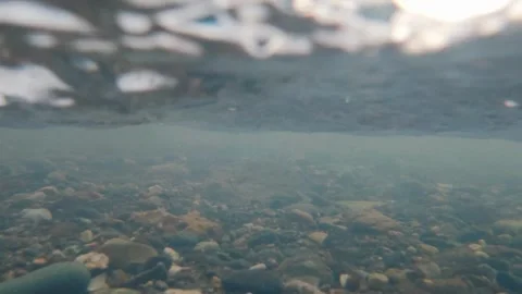 Underwater static shot of clear shallow water over a rocky pebble riverbed. Stock Footage 337778651