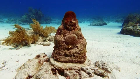 Underwater Statue 001 Vidéo 238026835
