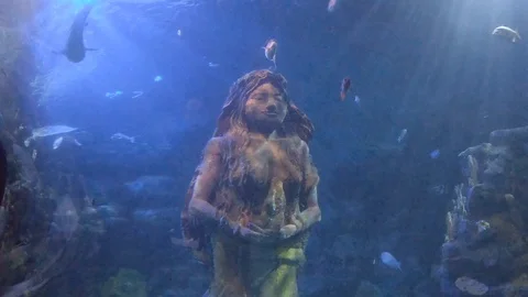Underwater Statue Aquarium Ancient Relic inc. Fish, Sharks, Sea Life Stock Footage