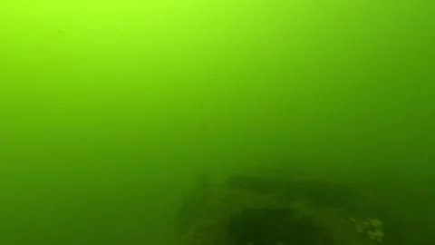 Underwater Stickney Point Bascule Bridge Sarasota Stock Footage 339432941