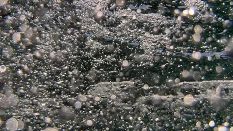 Underwater stream of air bubbles moves through seawater creating soft natural mo 스톡 동영상 341408250