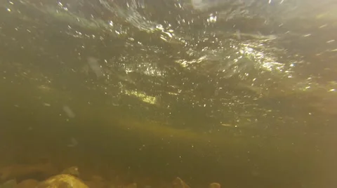 Underwater in a stream Stock Footage 47489440