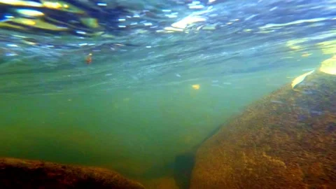 Underwater Stream Stock Footage 219192448