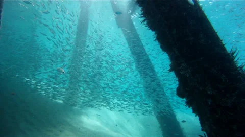 Underwater Structure Stock Footage 38112575