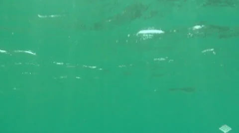 Underwater Sun (1) Stockbeeldmateriaal 32070445