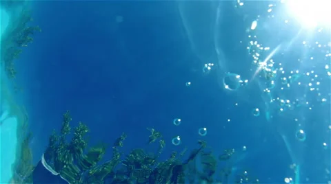 Underwater Sun Flare Stock Footage 41408183