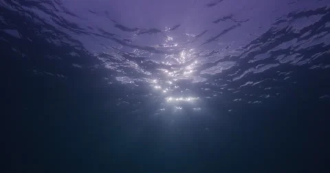 Underwater Sun Rays In 8K Stock Footage 317749676