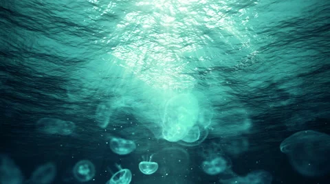 Underwater Sun Rays and Jellyfish in the Ocean (Loop) Stock Footage 54621792