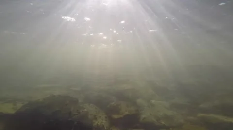 Underwater sun rays in a flowing river Stock Footage 67240510