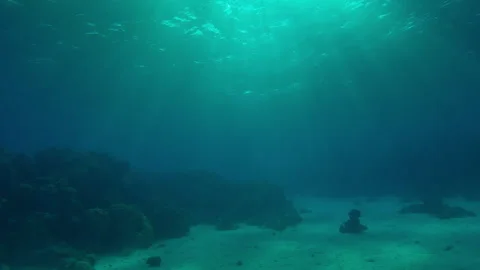 Underwater sun rays shines below water illuminating sea depths on sand-coral Stock Footage 311869053